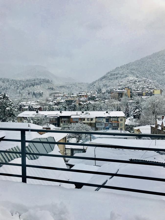Borjomi Inn 外观 照片